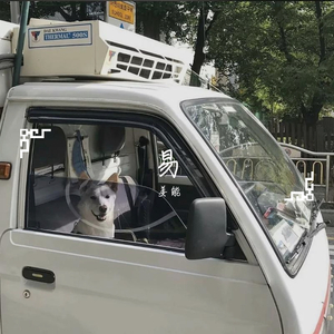 爱如潮水-他-独行侠 （feat）