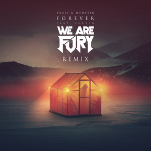 Forever (We Are Fury Remix)