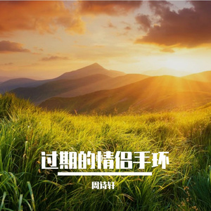 过期的情侣手环