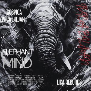 Dream Stream (Radio Edit)