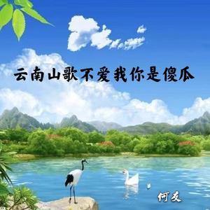 云南山歌彝族敬酒歌 (DJ何友版）