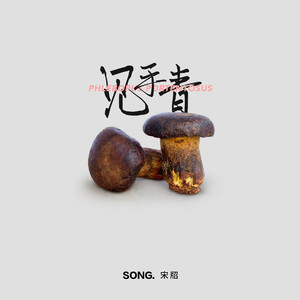 西格玛男人