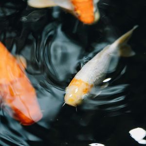 暮色漫过窗台的暖