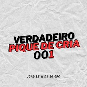 VERDADEIRO PIQUE DE CRIA 001 (feat. JOAO LT)