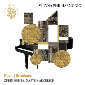 Symphony No. 7 in E Major, WAB 10 : I. Allegro moderato (Live)