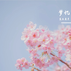 跨越维度的思念