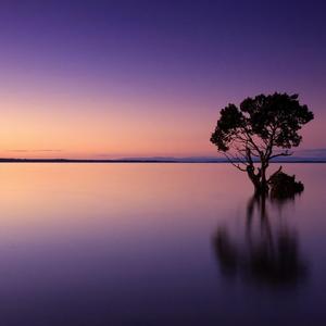 不动声色（钢琴版）