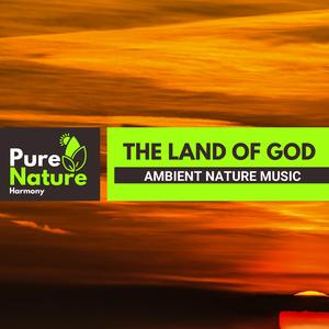 Wetland Forg Sounds to Help You Sleep