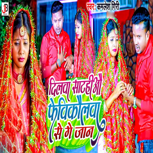 Dilwa Satahi Fevicol Se Ge Jaan