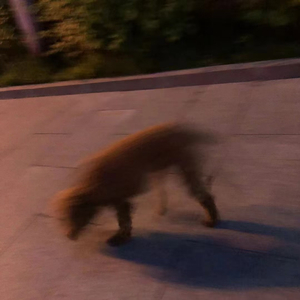 破镜（prod.Morrow x Rjpasin）