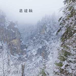 寒梅落尽 (小提琴)