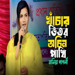 খাঁচার ভিতর অচিন পাখি