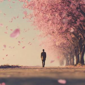 4월의 바람 속에서