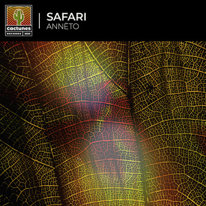 Safari