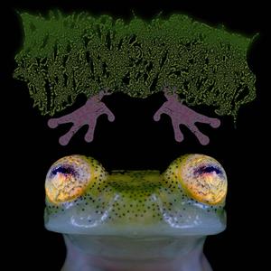 MURKWATERS DEEP