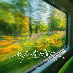 我在春天等你