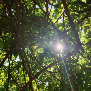 [Free] " 午後愛人 " " R&B Chill Type Beat "