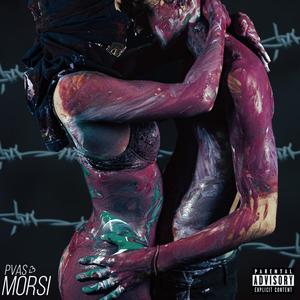 MORSI (feat. bluonthesky)