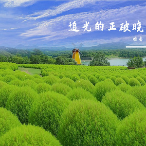 追光的正破晓