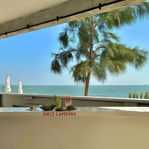 梁静茹-会呼吸的痛dj（Cecilia remix）