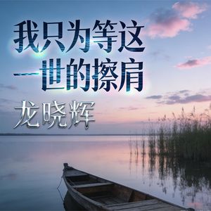 我只为等这一世的擦肩