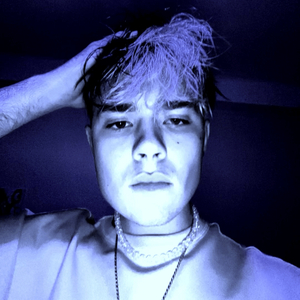 Рекси по кишеням