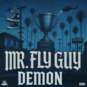 Mr Fly Guy