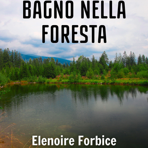 Greetings from Amsterdam