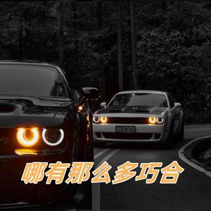 哪有那么多巧合