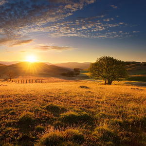 Melodía De Enfoque Rítmico