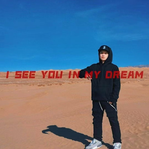 I see you in my dream