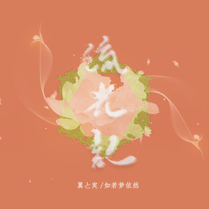 流光记