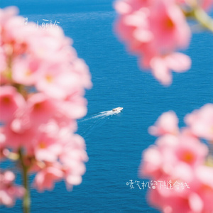 喷气机留下缝合线