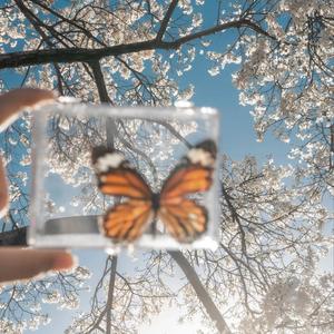 余温 (Remaining warmth)