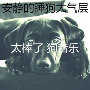 抚慰的幼犬回忆