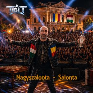 Nagszalonta (Salonta)