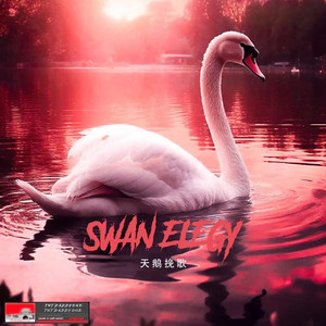 天鹅挽歌