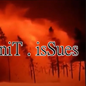 Firetree (feat. Nit . Issues)