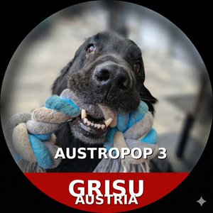 Der Nebel macht mi deppat (Du & I im Grau)