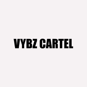 VYBZ CARTEL (Live)