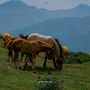 4u prod by CARSO&牙刷