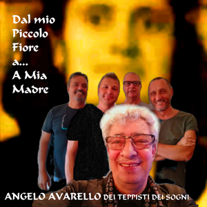 Piccolo fiore dove vai