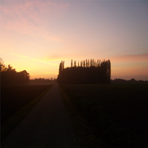 Ein böser Zwischenfall unter den Pappeln