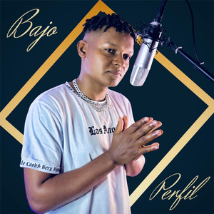 Bajo perfil