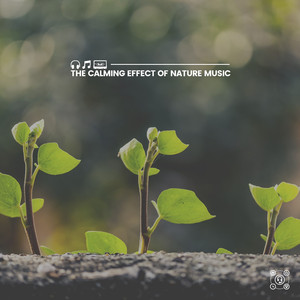 Natural Calmness, Pt. 28