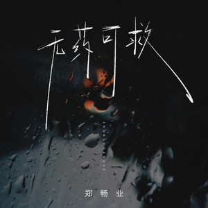 无药可救 (DJ版)