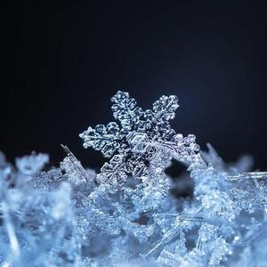 飘雪花