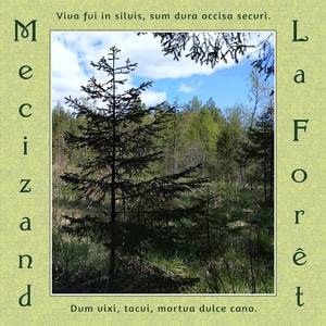 Первоцветы / Пробуждение насекомых