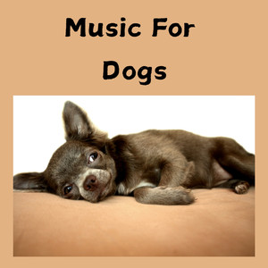 Pet Music