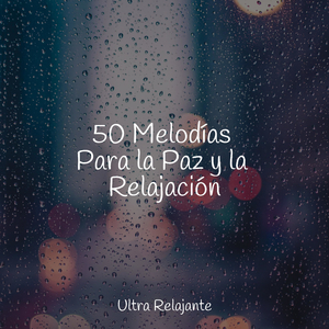 Disolvente De Problemas